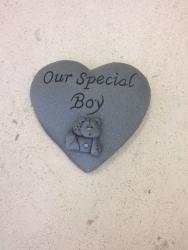 Our Special Boy